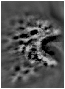 blob.png blob.png